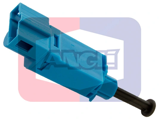40043 Angli