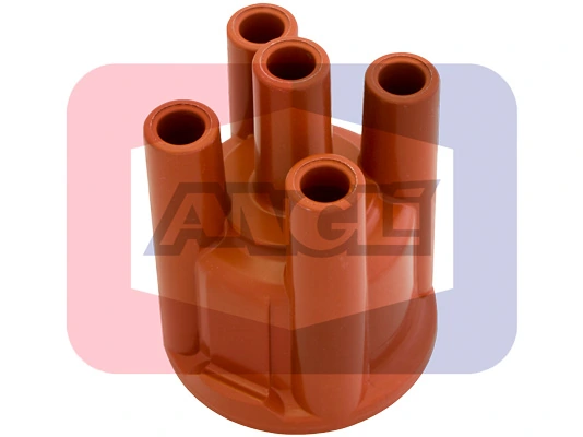 2236P Angli