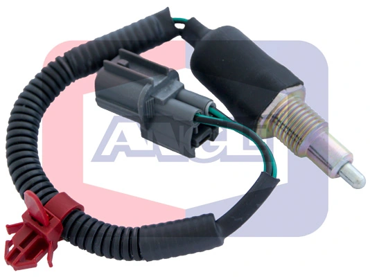 9238 Angli