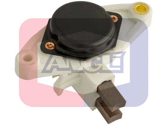 50005 Angli