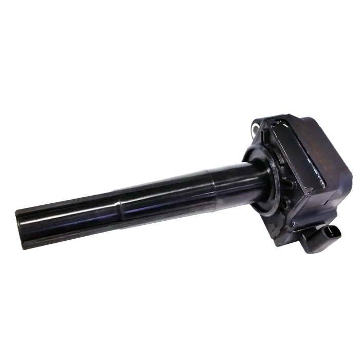 GC4253 Gauss
