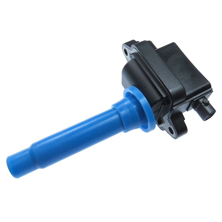 GC4307 Gauss
