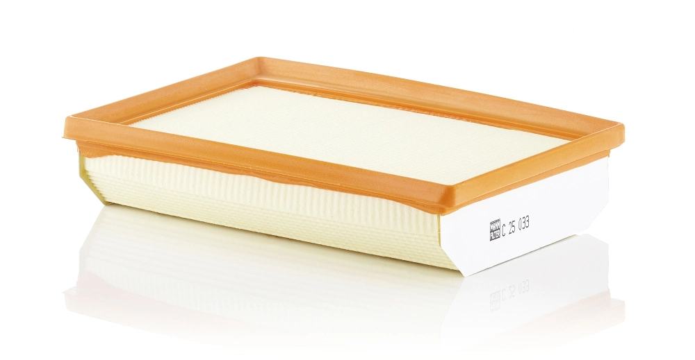 Compre LFAF640 Lucas Filtro de ar