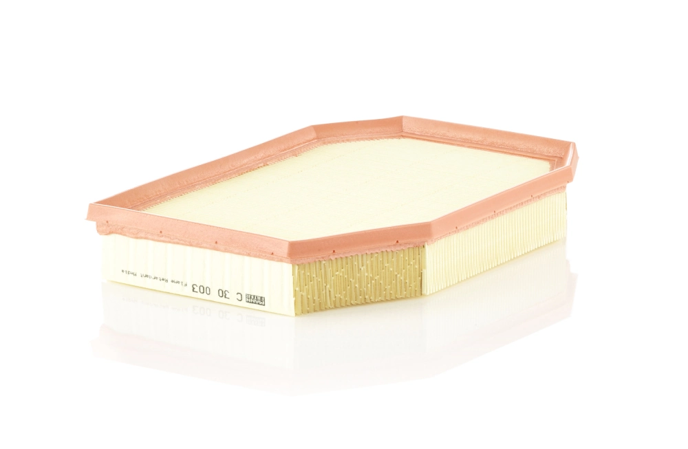 C30003 Mann-Filter