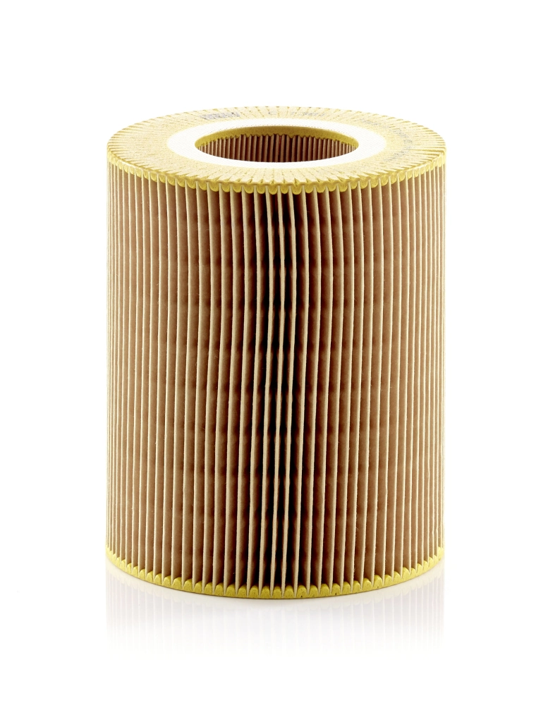 C1381 Mann-Filter