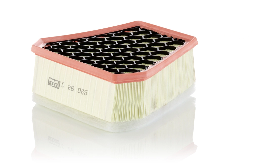 C26065 Mann-Filter