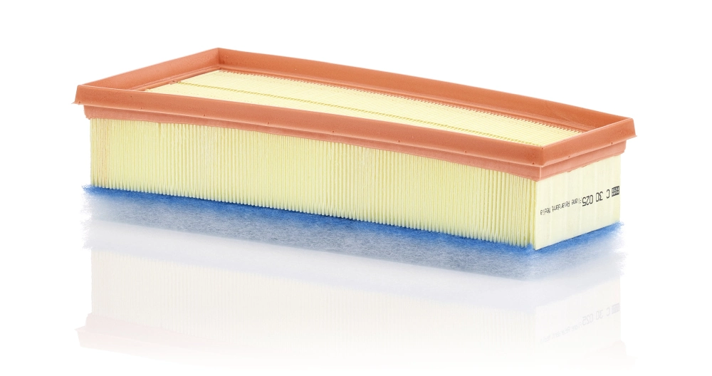 C30025 Mann-Filter