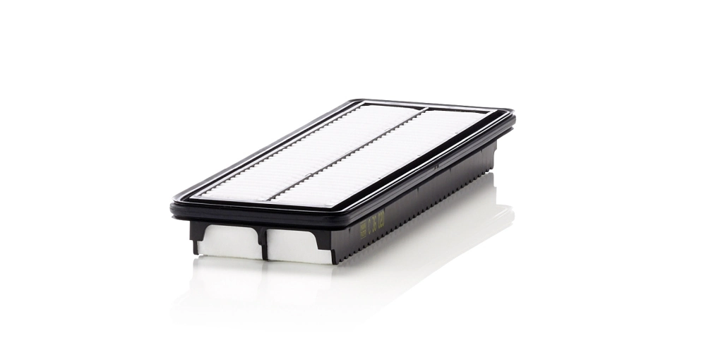 C36020 Mann-Filter
