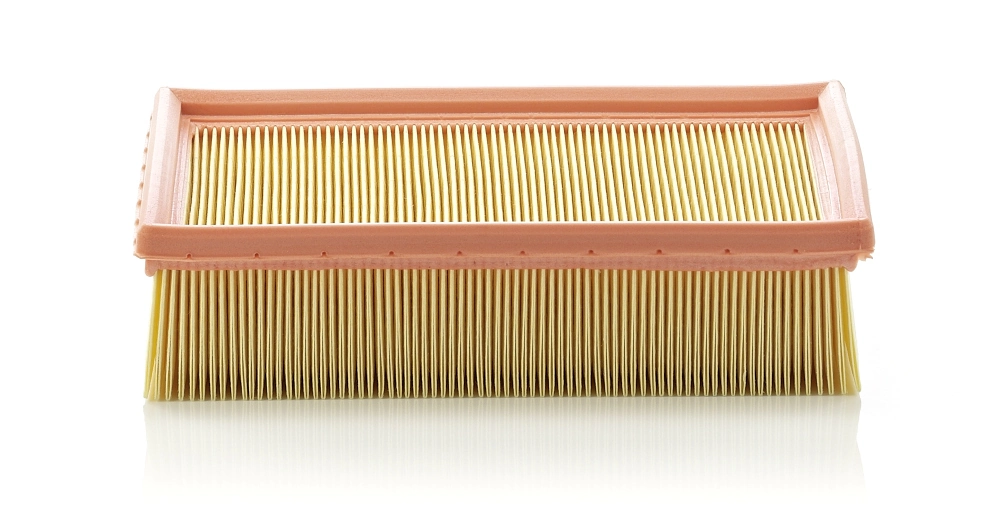 C24105 Mann-Filter