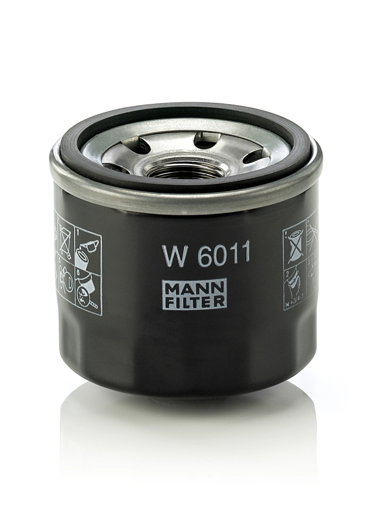 W6011 Mann-Filter