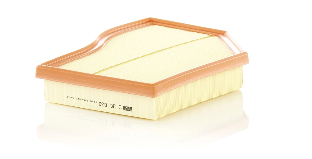 C30030 Mann-Filter