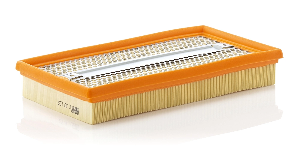 C33125 Mann-Filter