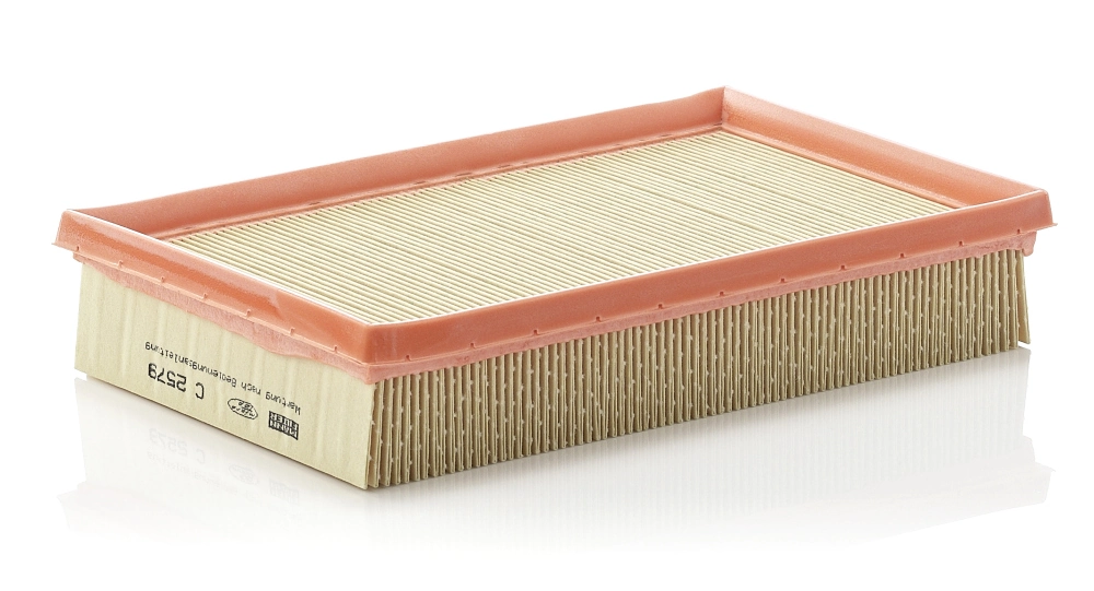 C2579 Mann-Filter