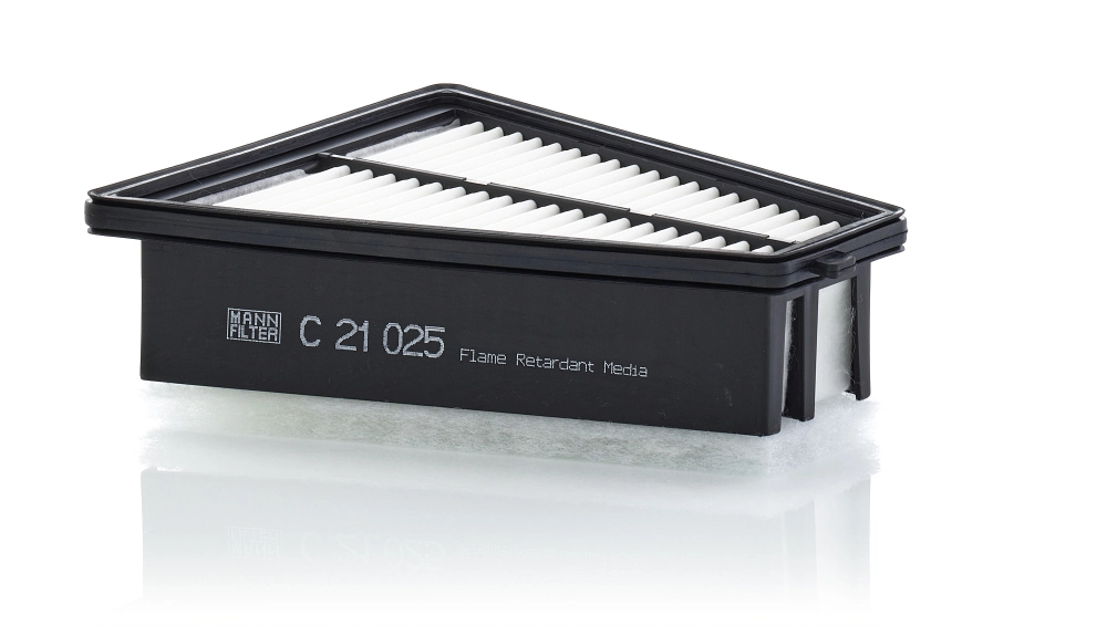 C21025 Mann-Filter