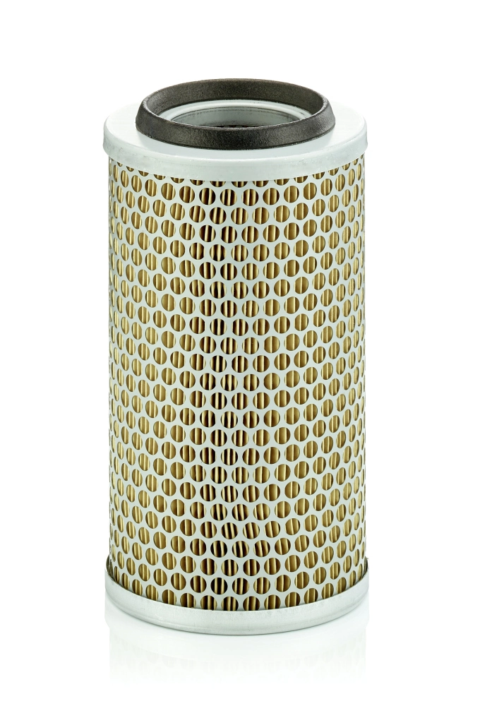 C13131 Mann-Filter