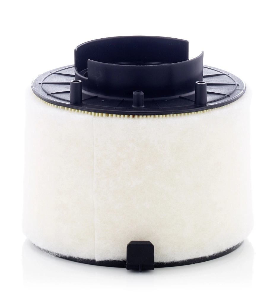 C17009 Mann-Filter