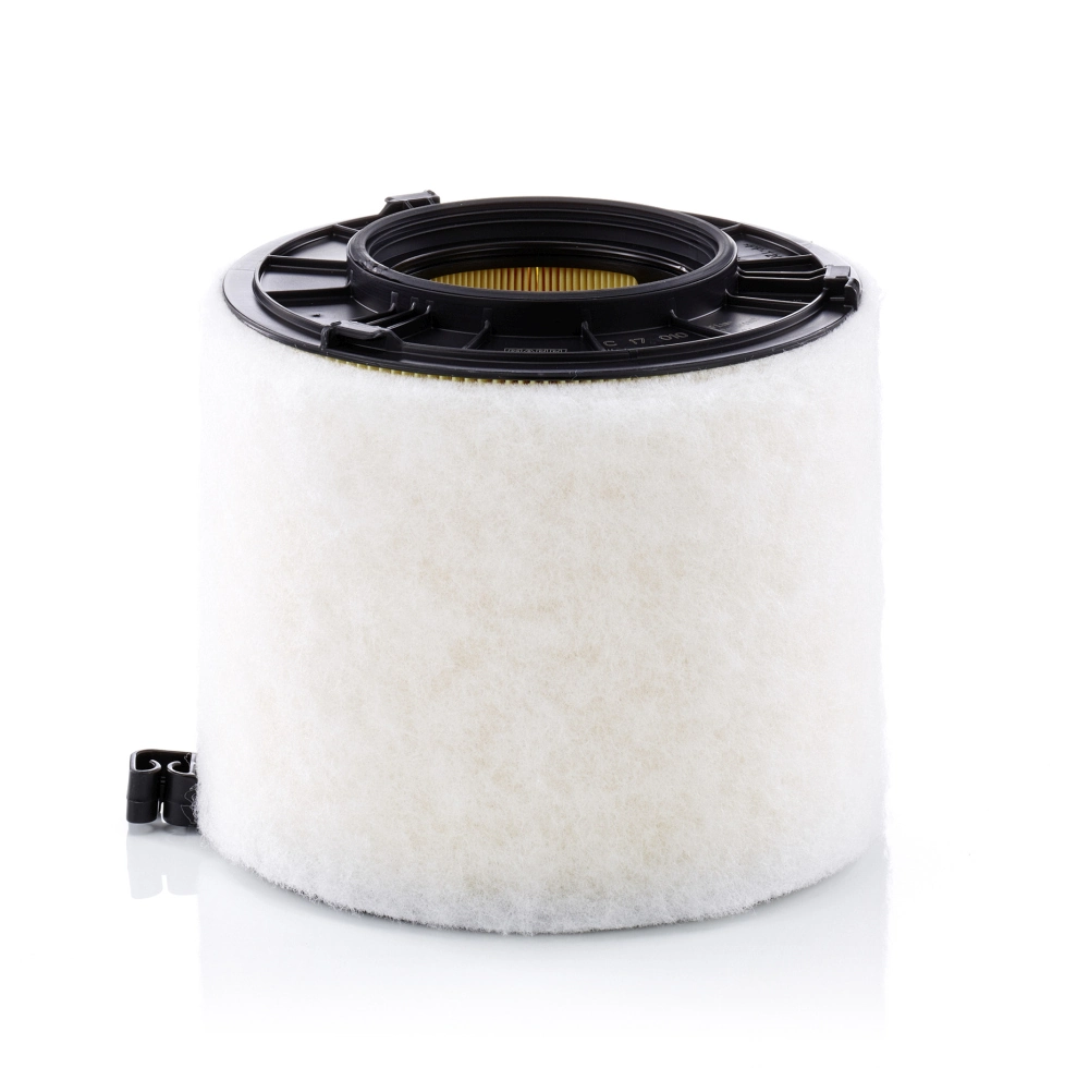 C17010 Mann-Filter