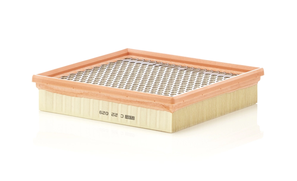 C22029 Mann-Filter