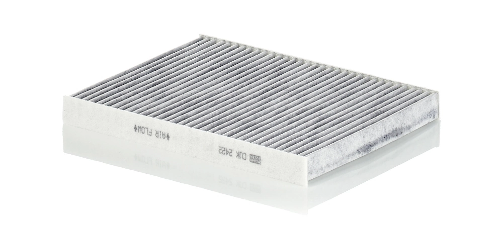 CUK2422 Mann-Filter