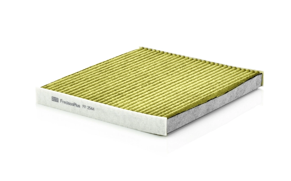FP2544 Mann-Filter