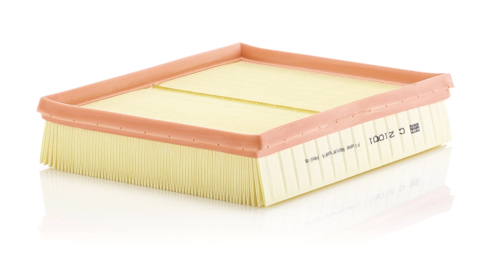 C21001 Mann-Filter