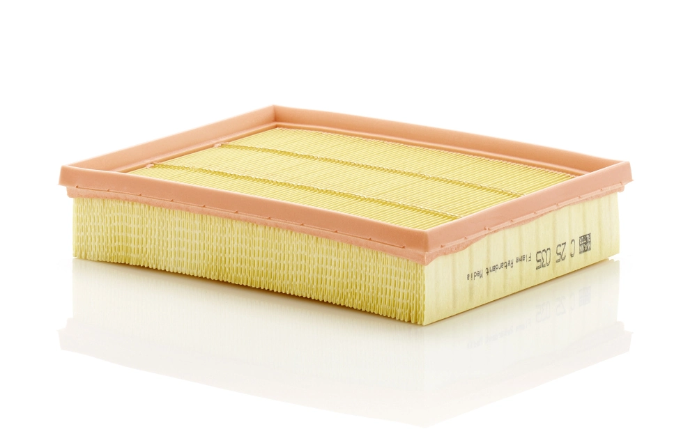 C25035 Mann-Filter