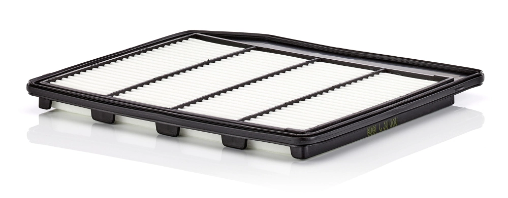 C30080 Mann-Filter
