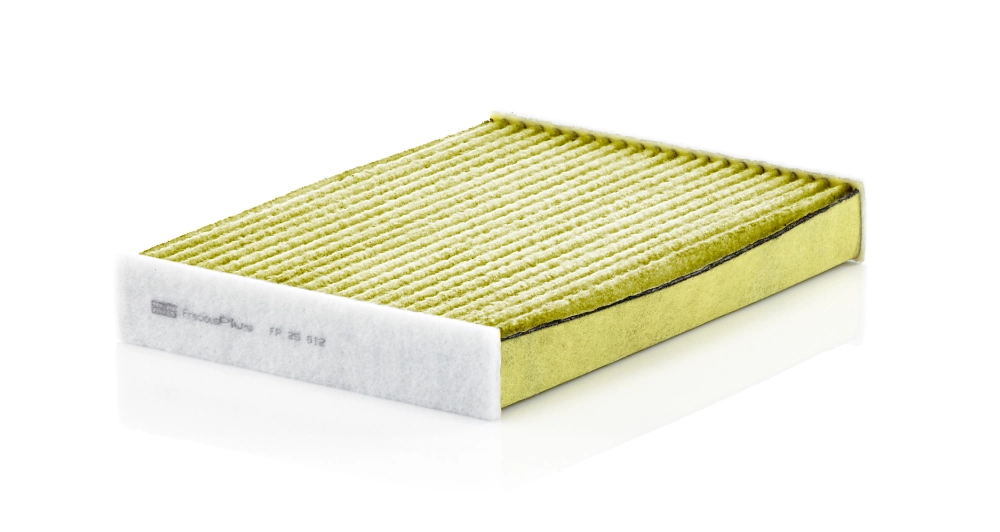 FP25012 Mann-Filter