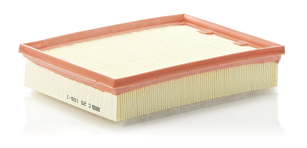 Filtro de ar Renault Laguna III BT0, BT1 ao melhor preço