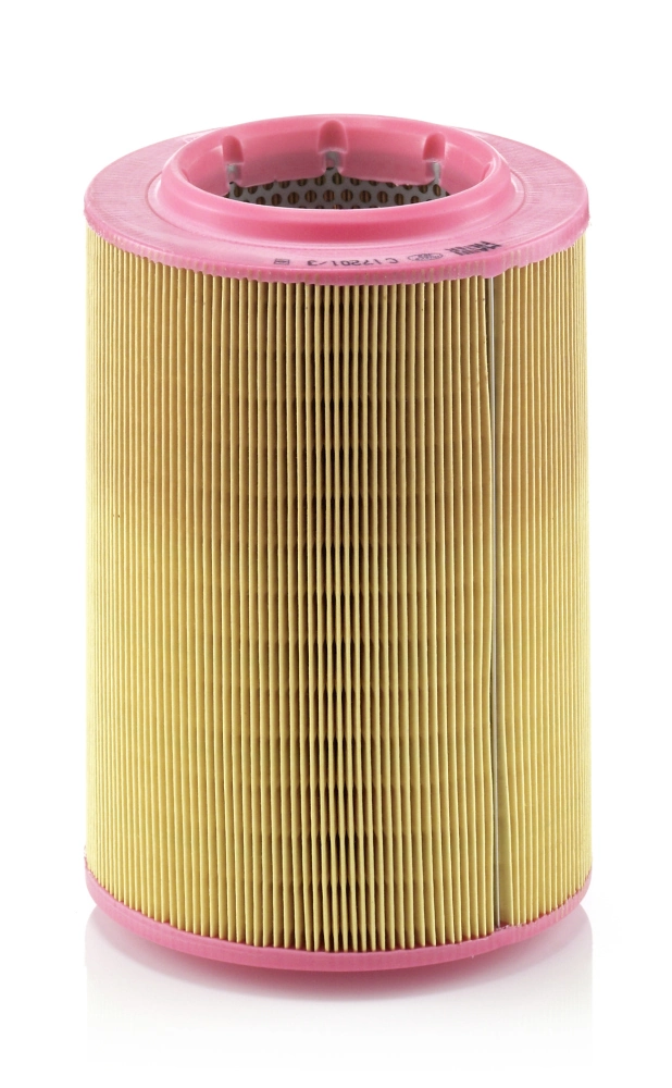 C172013 Mann-Filter