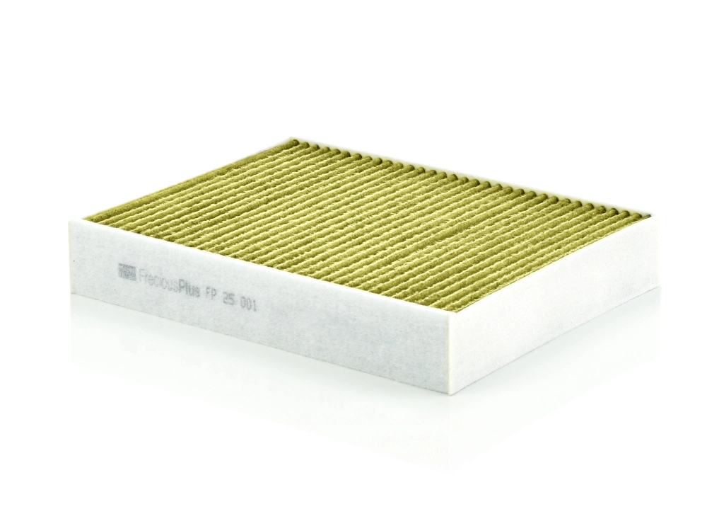 FP25001 Mann-Filter