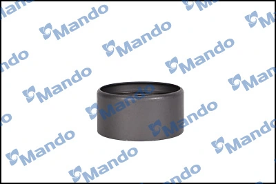 Compre DG3060312RR1 Koyo Rolo parasita da correia do mecanismo de distribuição de gás
