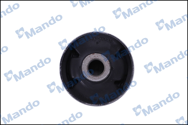 DCC010169 Mando Bloco silencioso dianteiro do braço oscilante inferior