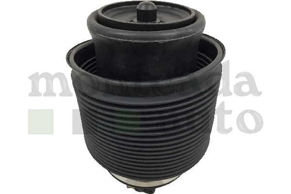 Compre 0296380 Montcada Coxim pneumático (suspensão de lâminas pneumática) do eixo traseiro