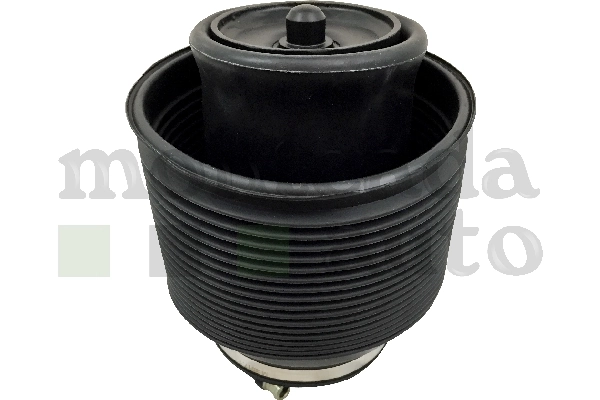 Compre 0296370 Montcada Coxim pneumático (suspensão de lâminas pneumática) do eixo traseiro