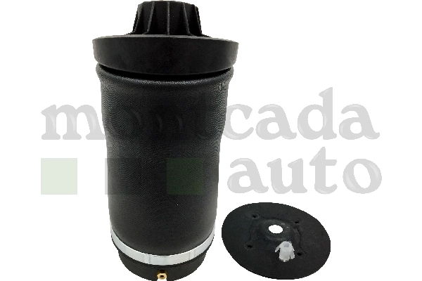 Compre 0296170 Montcada Coxim pneumático (suspensão de lâminas pneumática) do eixo traseiro