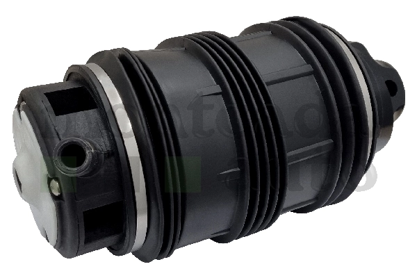 0296305 Montcada Coxim pneumático (suspensão de lâminas pneumática) do eixo traseiro
