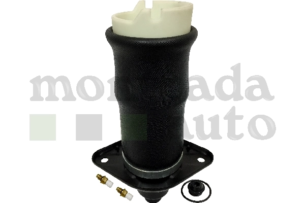 Compre 0296040 Montcada Coxim pneumático (suspensão de lâminas pneumática) do eixo traseiro