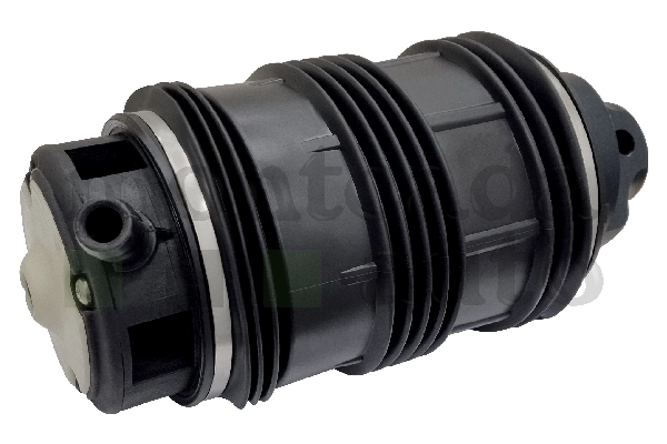 0296220 Montcada Coxim pneumático (suspensão de lâminas pneumática) do eixo traseiro