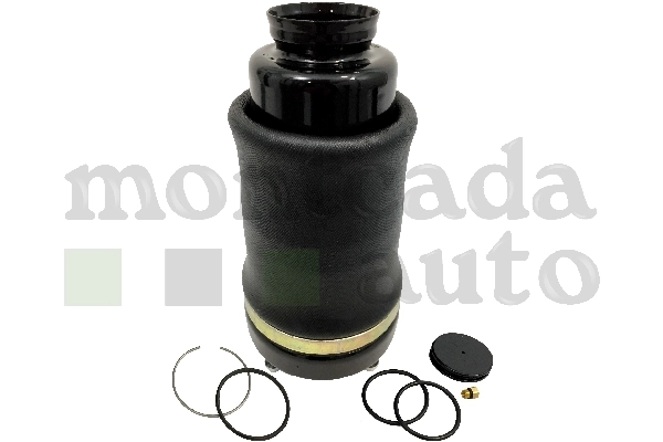Compre 0296130 Montcada Coxim pneumático (suspensão de lâminas pneumática) do eixo dianteiro