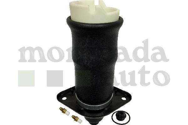 Compre 0296030 Montcada Coxim pneumático (suspensão de lâminas pneumática) do eixo traseiro
