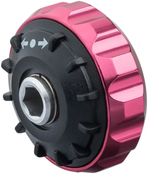 V2941 Vignal 
