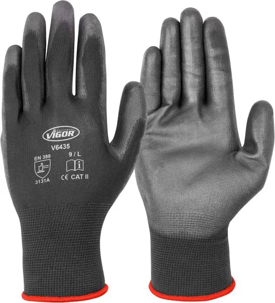 V6435 Vignal
