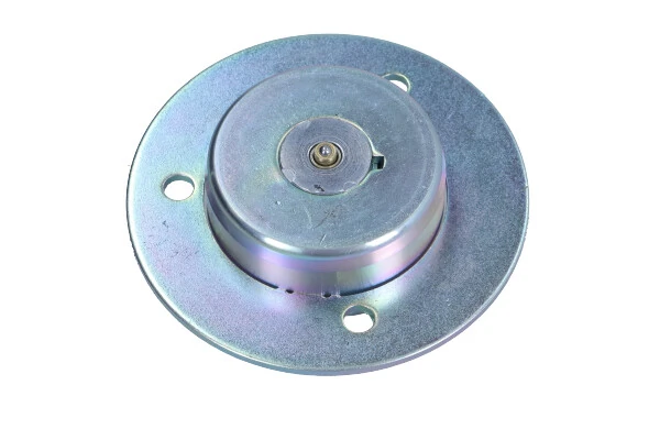 Compre Válvula eletromagnética de posição (de fases) da árvore distribuidora Seat Toledo 3