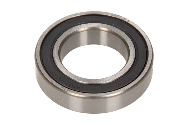 100107 Maxgear