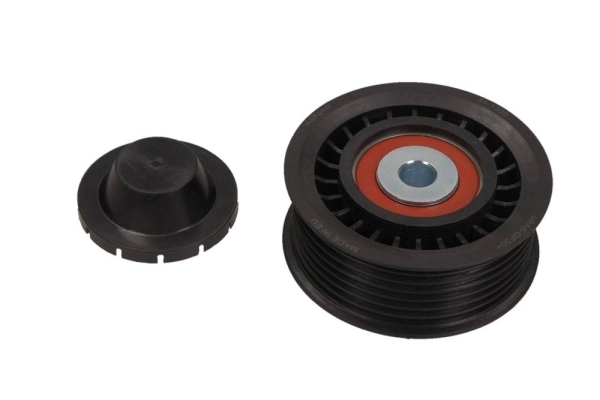 Rolo parasita da correia de transmissão 532066810 LUK