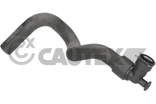031312 Cautex