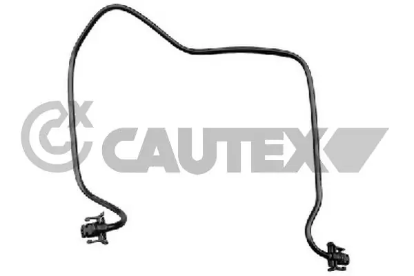 771633 Cautex