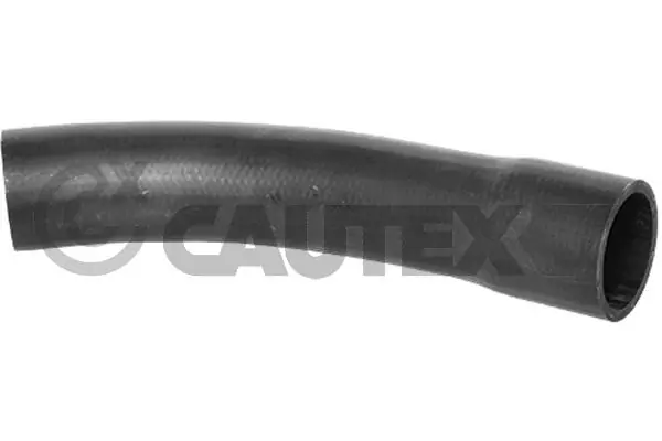 754545 Cautex