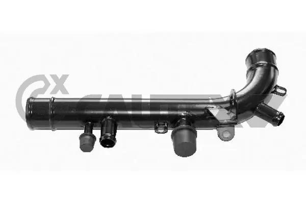 955495 Cautex